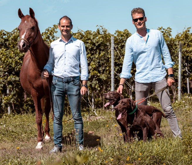 (SANMA) San Martino vini