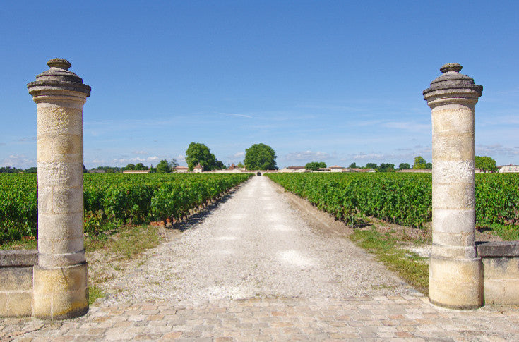 Primeur 2024 daling by Vitisphere