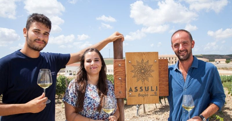 Assuli Winery (BIO)