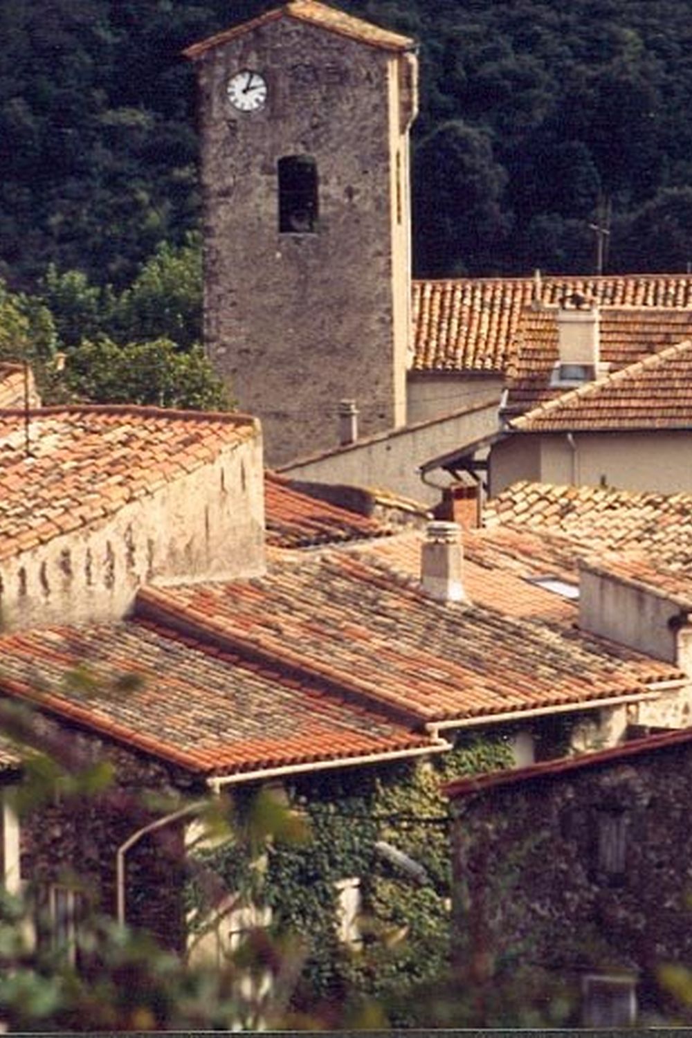 Estabel (Caves de Cabrieres)