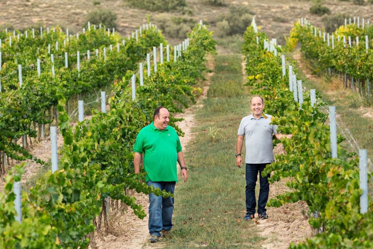 Costers del Sio Bodegas (BIO)