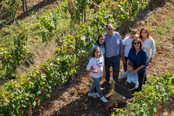 BODEGAS Gallegas