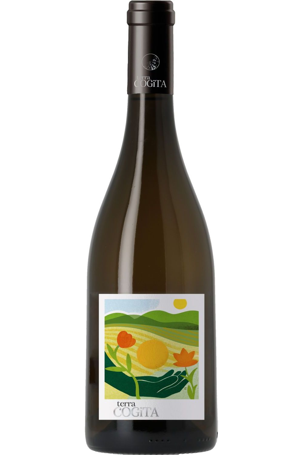 Terra Cogita (cepage resistant) vin de france blanc (sorelli)