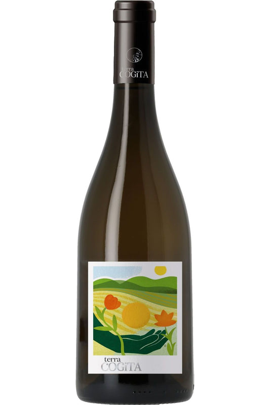 Terra Cogita (cepage resistant) vin de france blanc (sorelli)