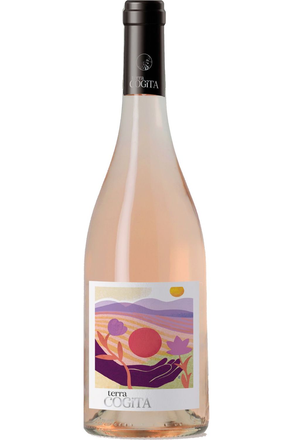 Terra Cogita (cepage resistant) vin de france rosé (cabernet cortis)