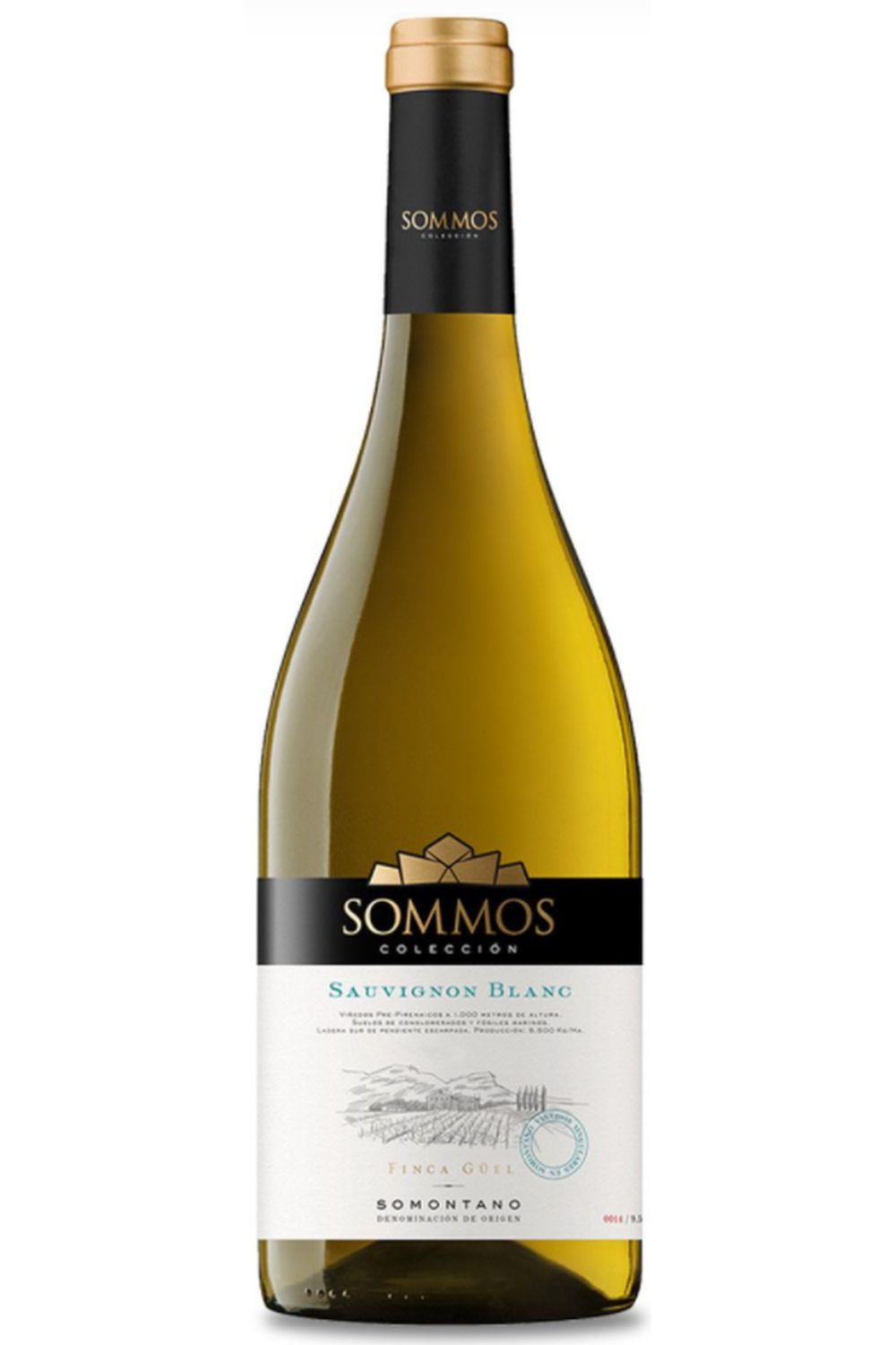 SOMMOS Coleccion DO somontano sauvignon blanc