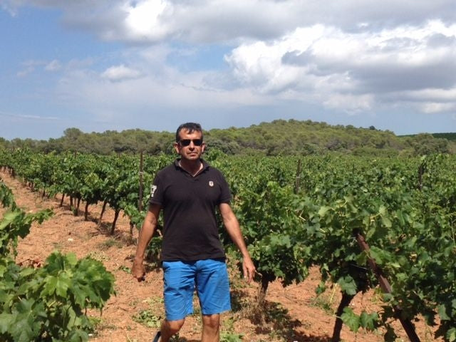 Domaine Canton - Vignerons des Schistes