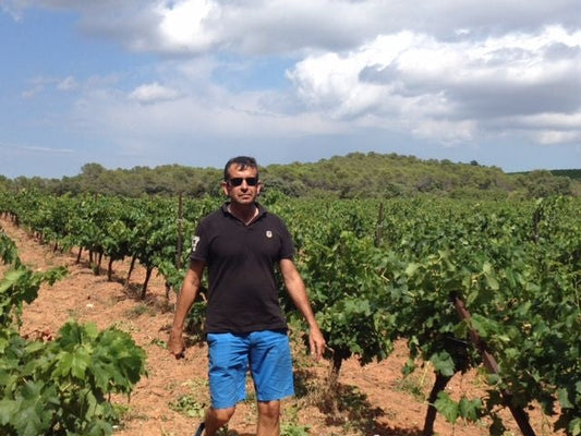 Domaine Canton - Vignerons des Schistes