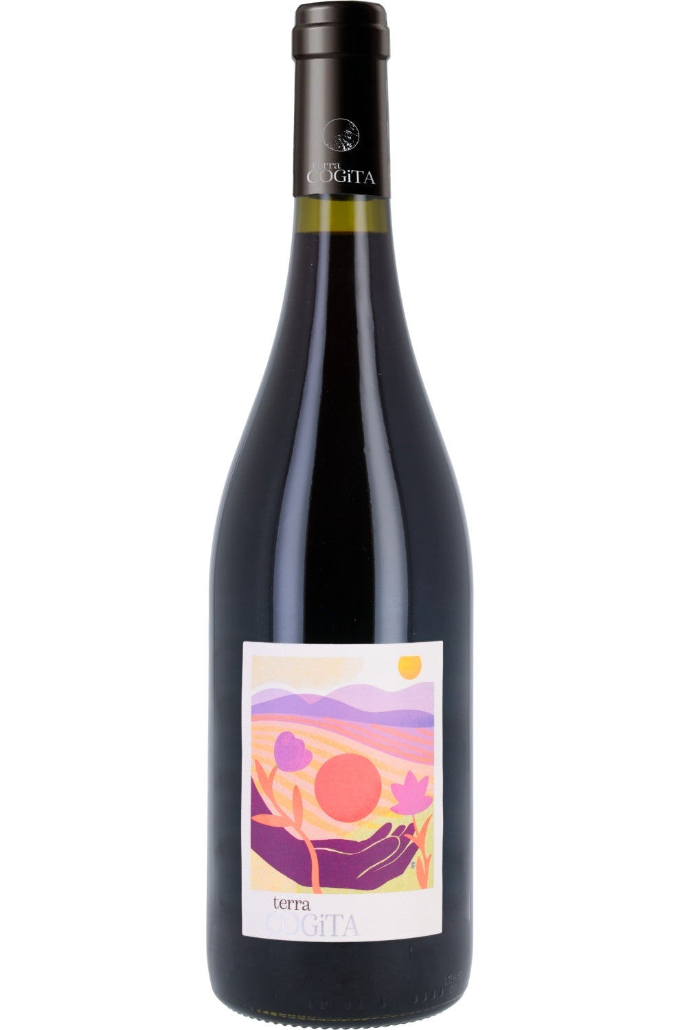 Terra Cogita (cepage resistant) vin de france rouge (cabernet cortis)